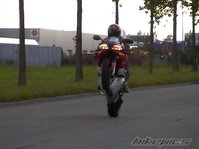 1999 YAMAHA YZF R1 | Picture 6361 motorcycle photo