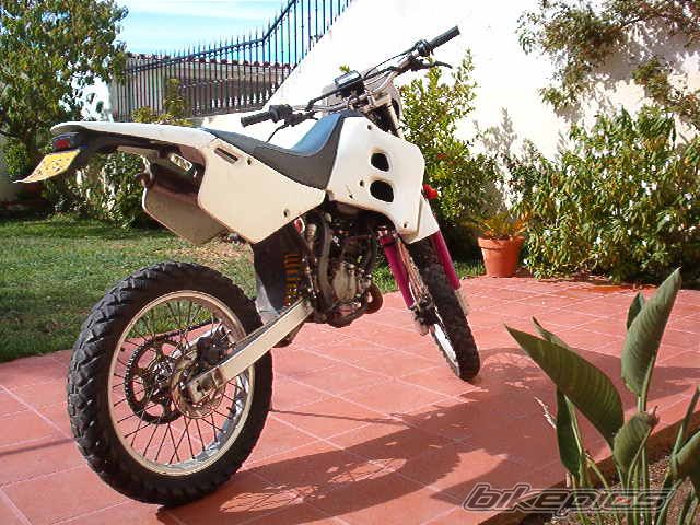 1997 KTM 50 EXC | Picture 636406 motorcycle photo