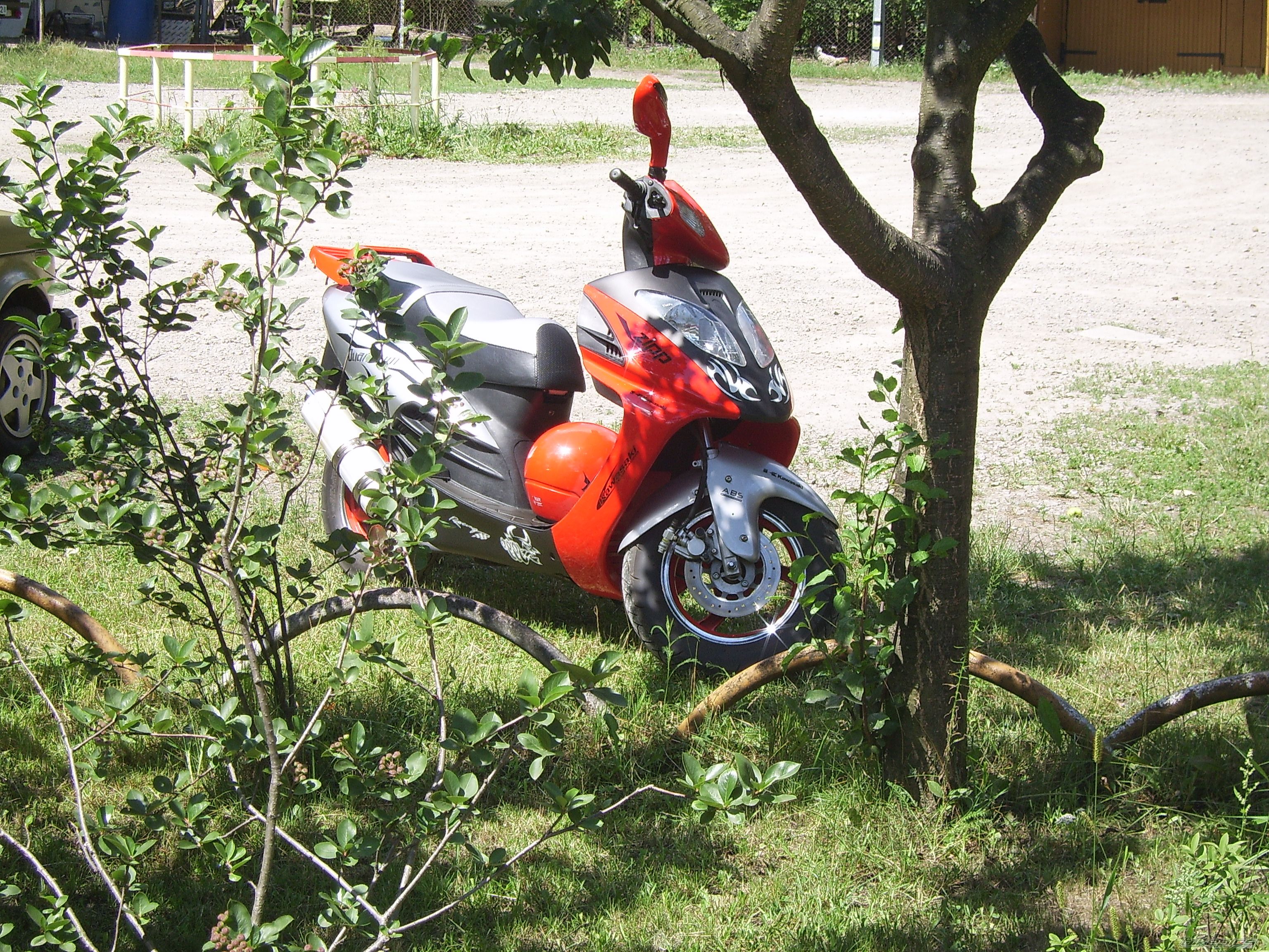    | Picture 636815 motorcycle photo