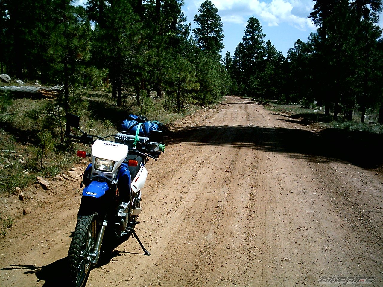 2004 SUZUKI DR 650 | Picture 636953 motorcycle photo
