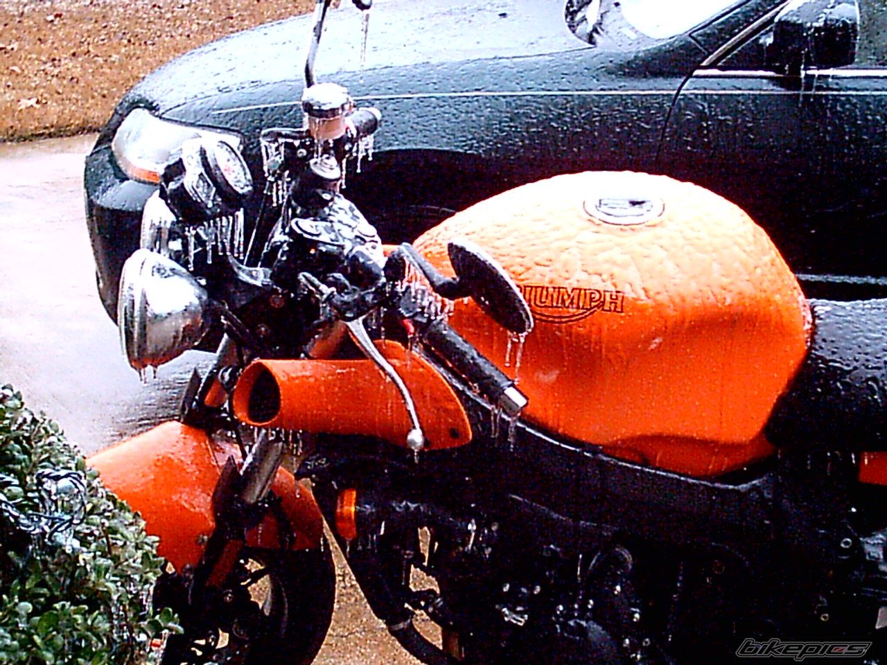 2003 TRIUMPH SPEED FOUR | Picture 636963 motorcycle photo
