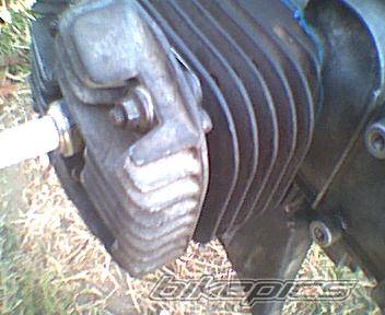 1996 PGO BIG MAX 50 | Picture 63707 motorcycle photo