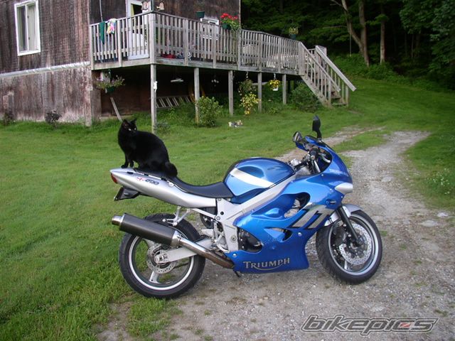 2003 TRIUMPH TT 600 | Picture 637948 motorcycle photo