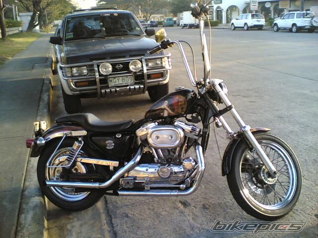 1993 HARLEY DAVIDSON XLH 1200 | Picture 638034 motorcycle photo