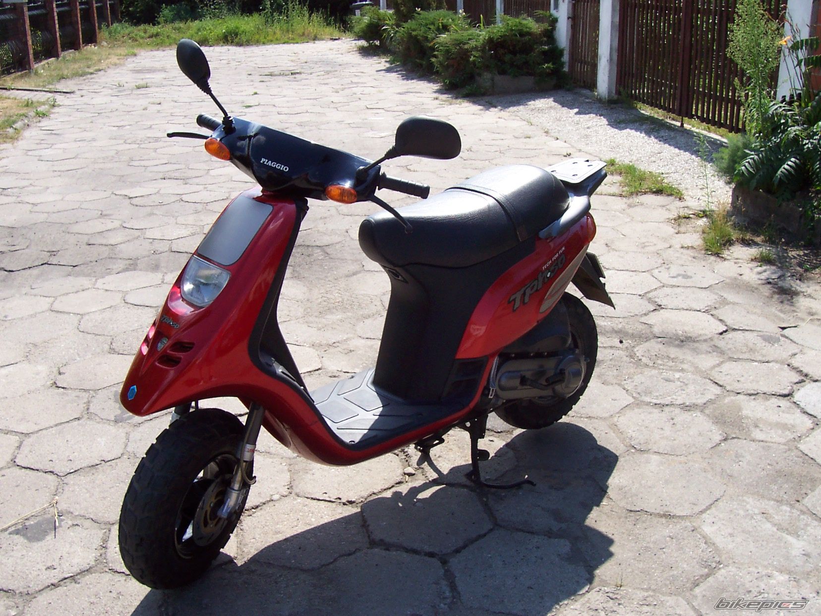1994 PIAGGIO TYPHOON 50 | Picture 638078 motorcycle photo