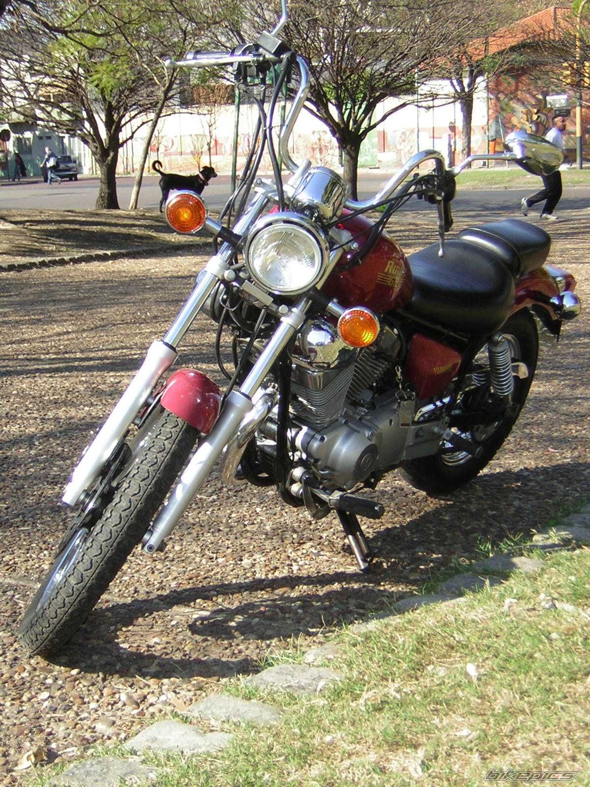 1989 YAMAHA VIRAGO 250 | Picture 638123 motorcycle photo
