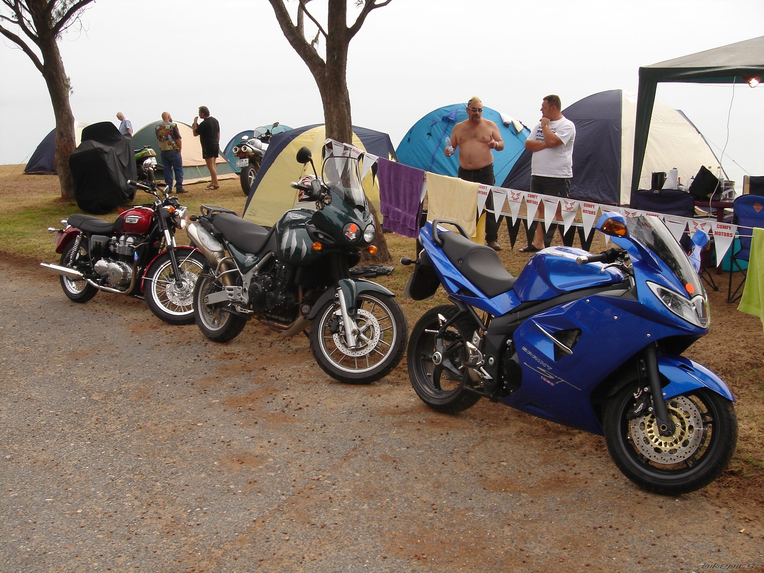 2005 TRIUMPH TIGER | Picture 638350 motorcycle photo