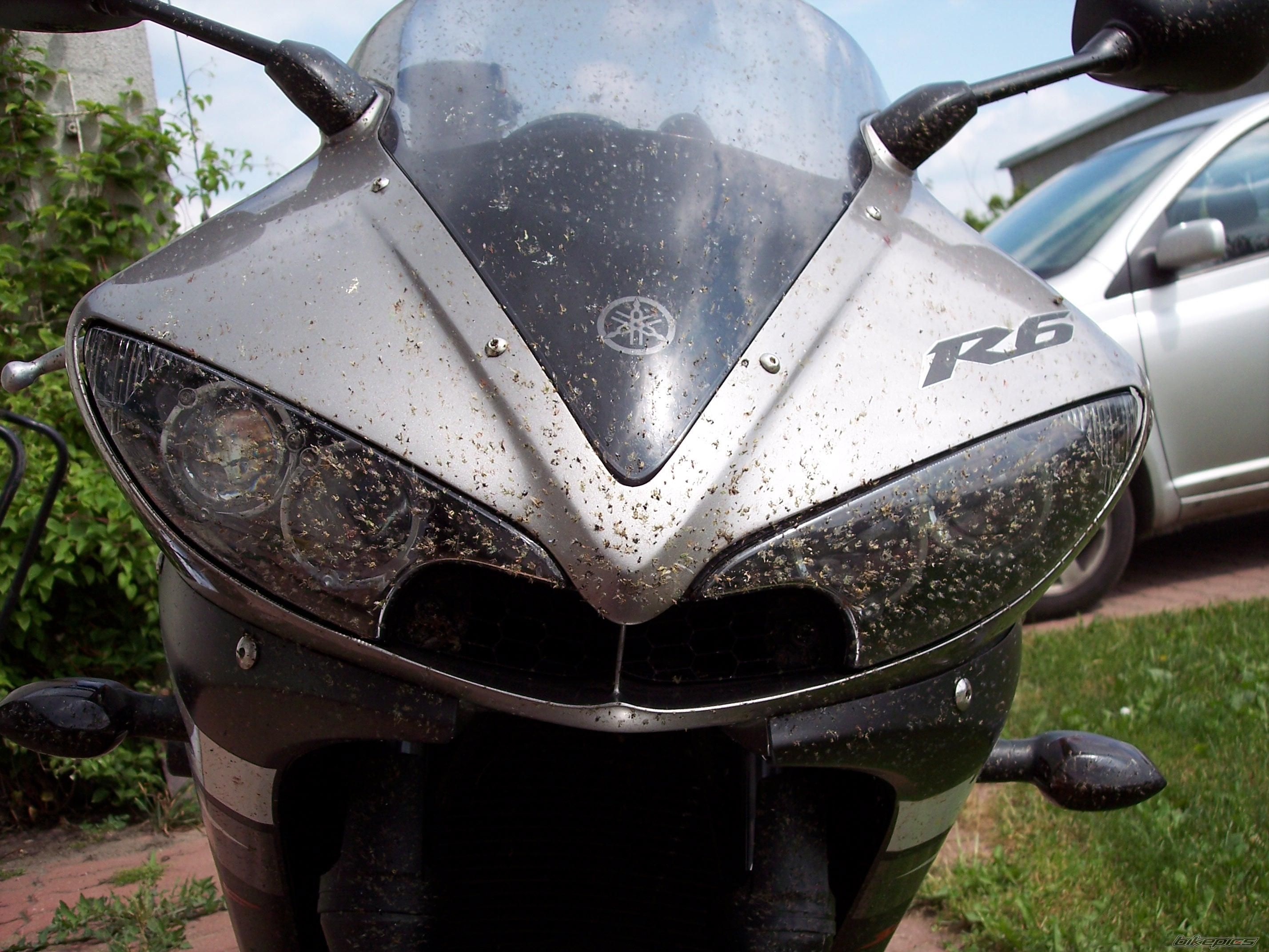 2003 YAMAHA YZF R6 | Picture 638428 motorcycle photo