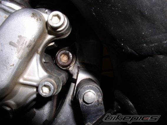 1998 HONDA CR 500 | Picture 63897 motorcycle photo