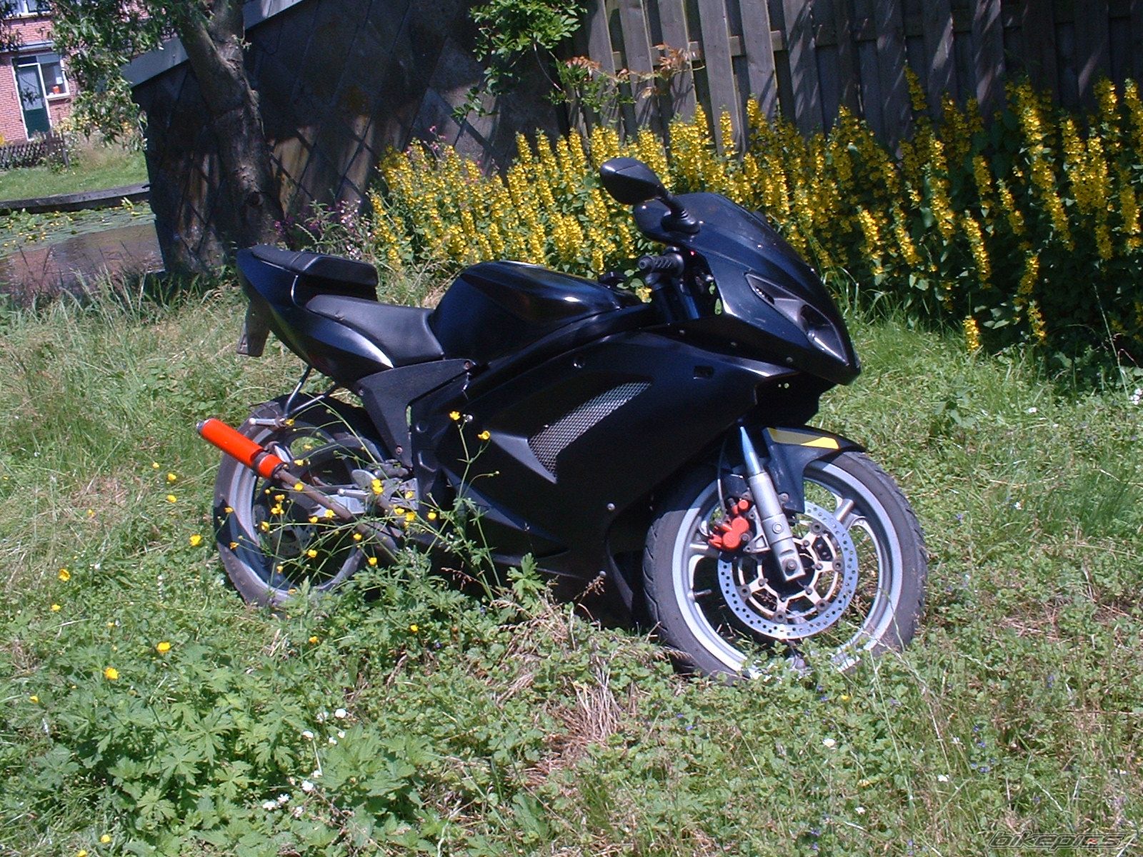2004 RIEJU RS2 MATRIX | Picture 639874 motorcycle photo