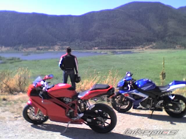 2006 SUZUKI GSX R 750 | Picture 640500 motorcycle photo
