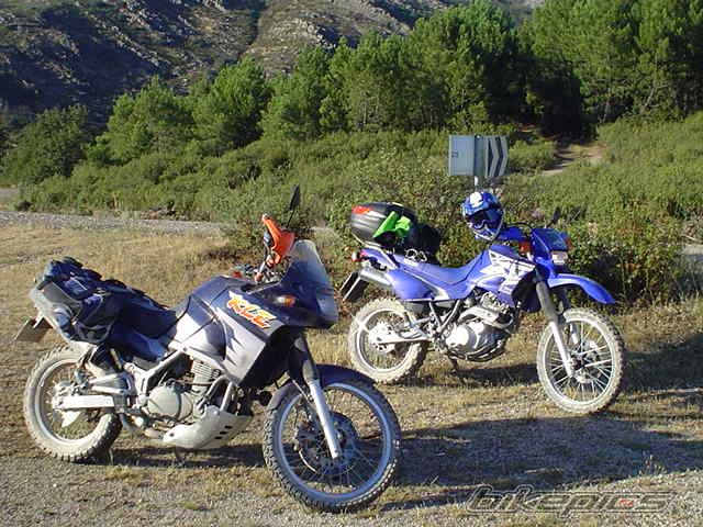 1998 KAWASAKI KLE 500 | Picture 640664 motorcycle photo