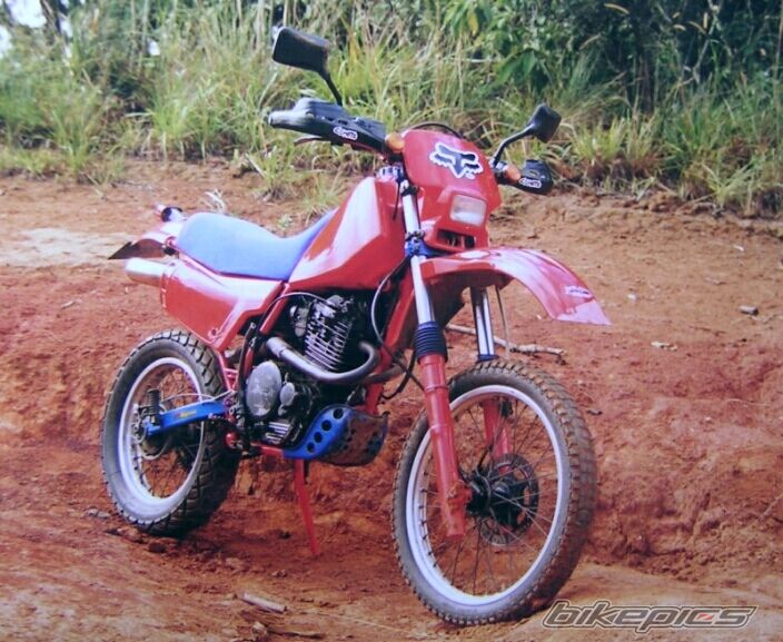 1985 HONDA XR 500 | Picture 641041 motorcycle photo