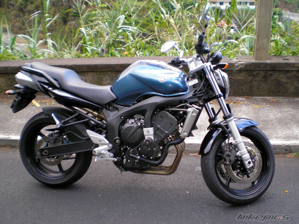 2006 YAMAHA FZ6 FAZER | Picture 641145 motorcycle photo