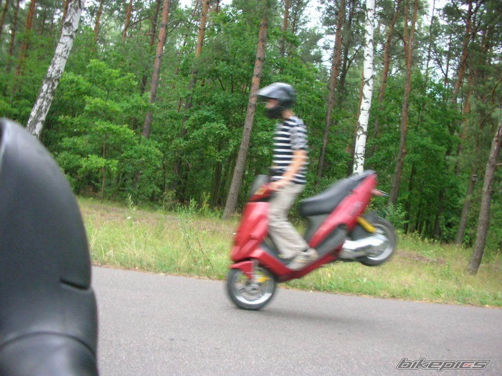 1997 MALAGUTI PHANTOM 50 F12 | Picture 641386 motorcycle photo