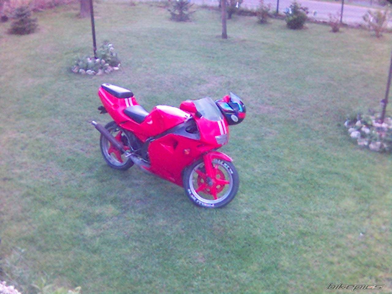 1991 APRILIA AF1 FUTURA 125 | Picture 641747 motorcycle photo