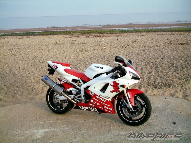 1998 YAMAHA YZF R1 | Picture 643136 motorcycle photo