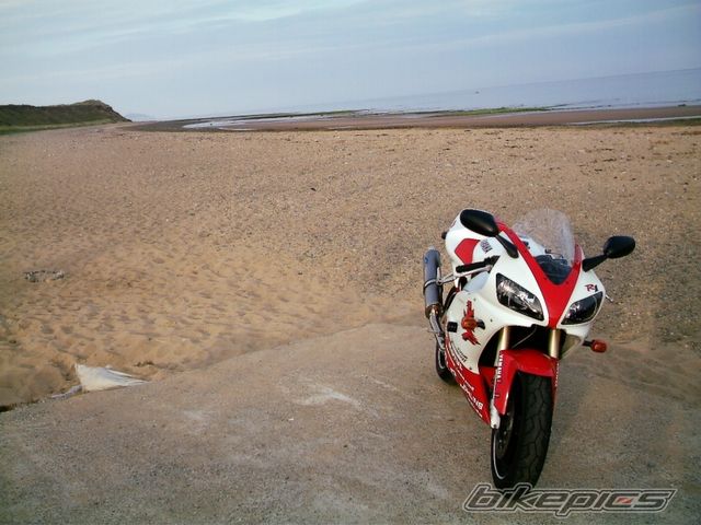 1998 YAMAHA YZF R1 | Picture 643139 motorcycle photo