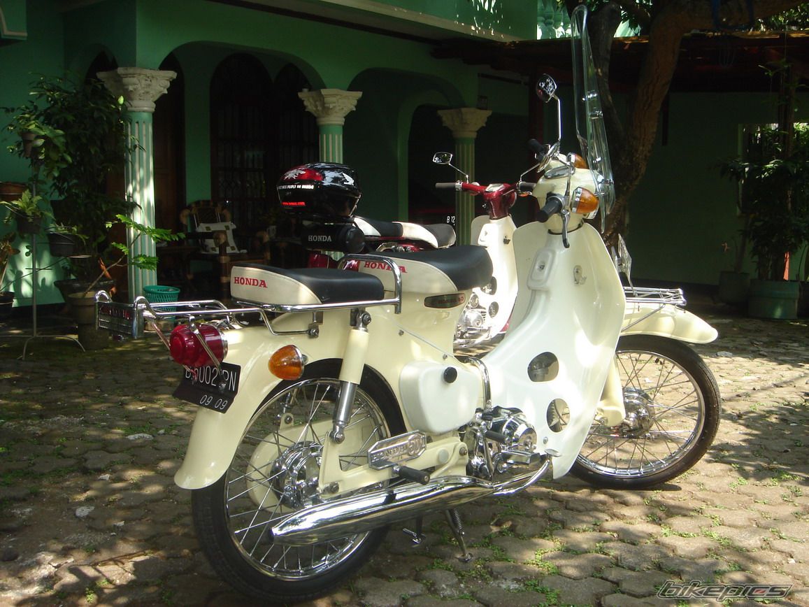 1969 HONDA C 50 | Picture 643148 motorcycle photo
