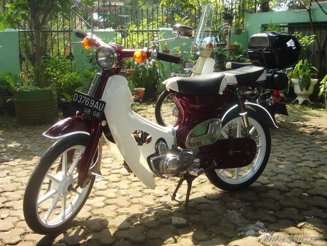 1978 HONDA C 70 | Picture 643159 motorcycle photo