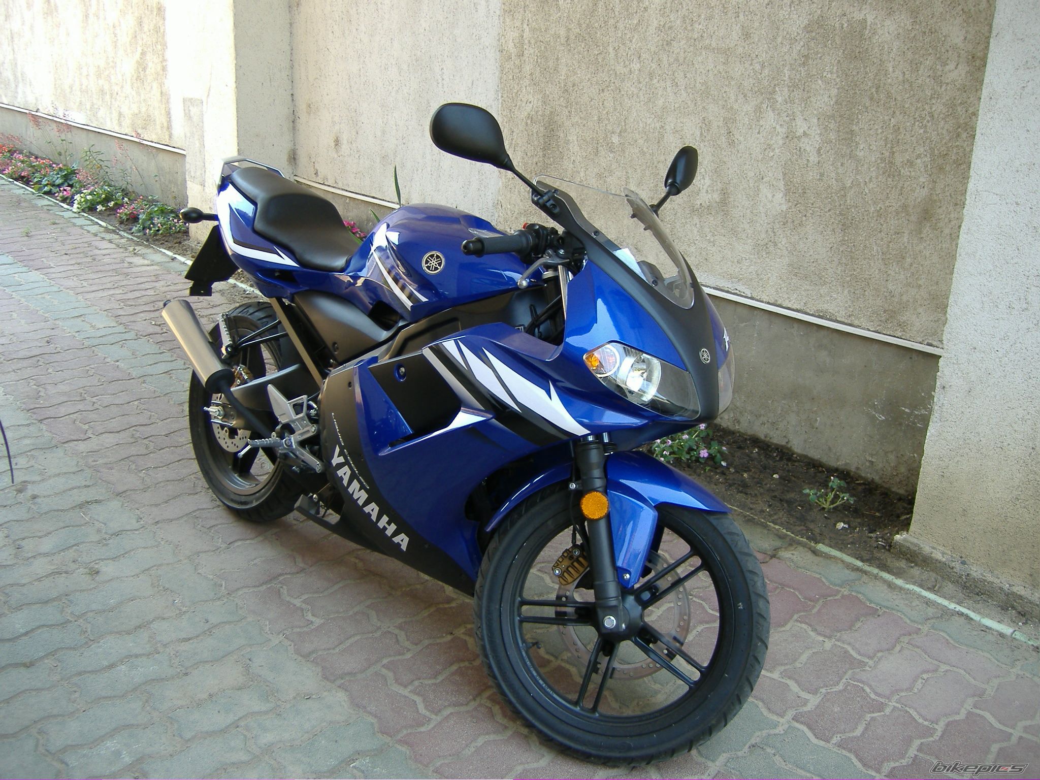 2006 YAMAHA TZR 50 | Picture 643531 motorcycle photo