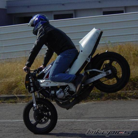 1997 YAMAHA TZR 125 | Picture 64374 motorcycle photo