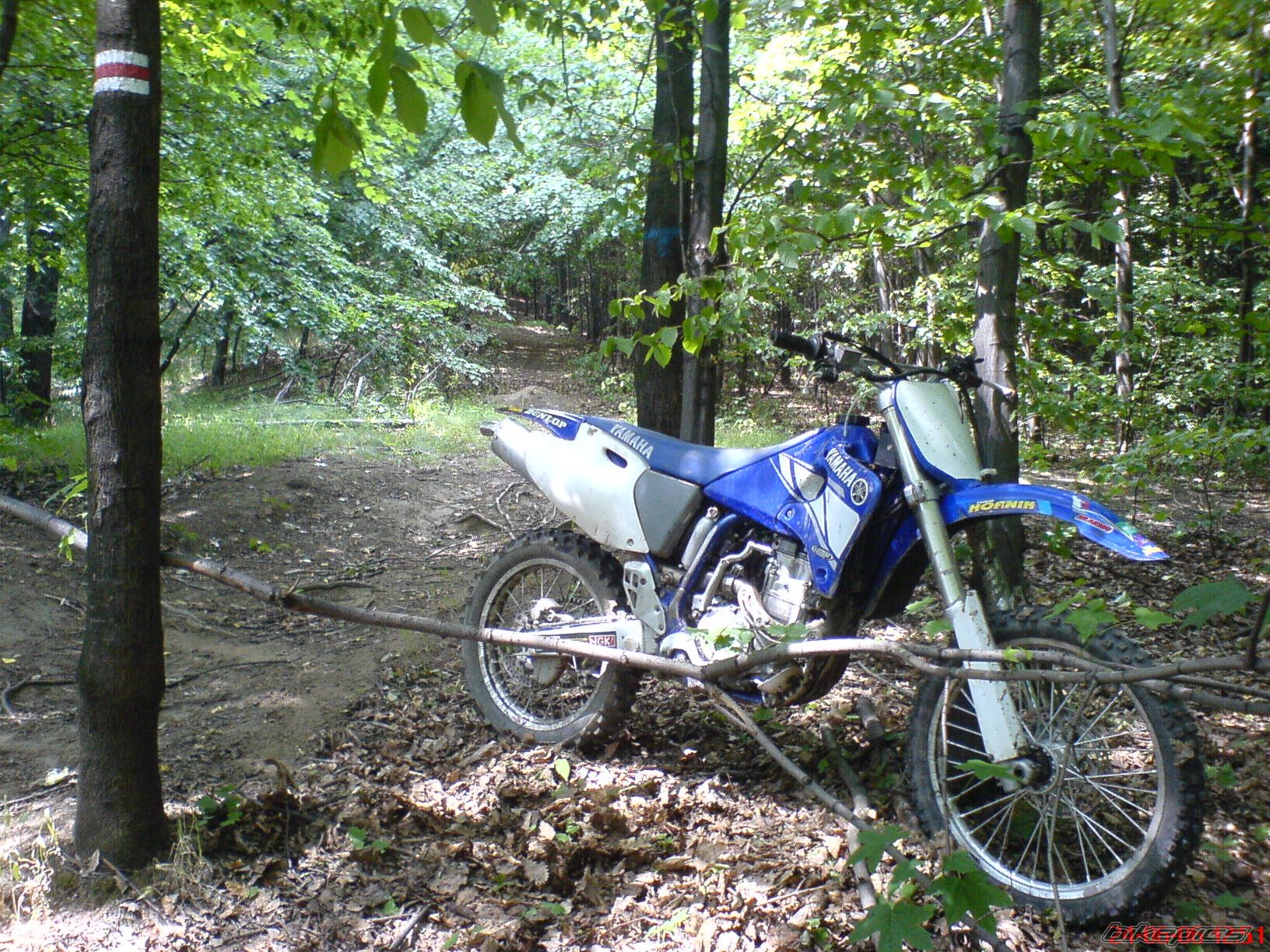2001 YAMAHA YZ 426F | Picture 643844 motorcycle photo