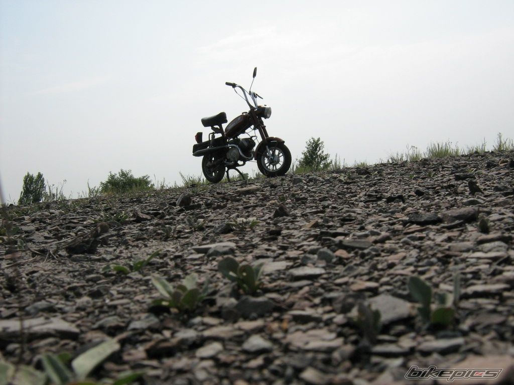 1988 ROMET PONY  M301 | Picture 644343 motorcycle photo