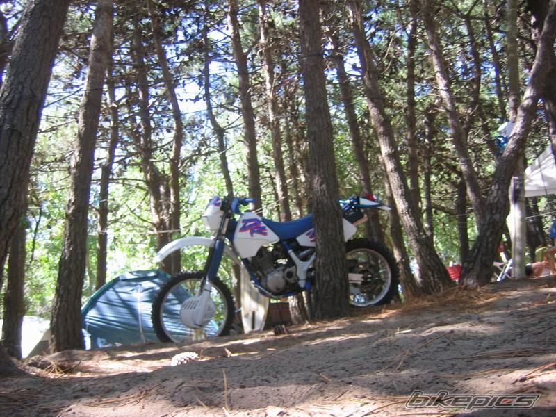 1993 SUZUKI DR 350 | Picture 644448 motorcycle photo