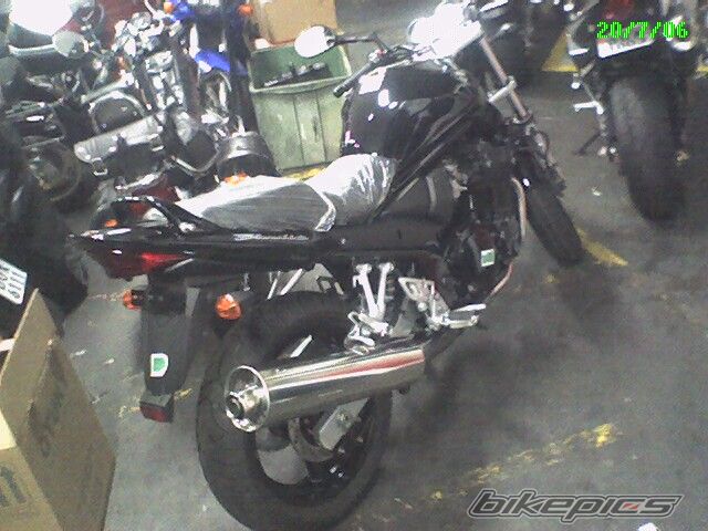 2006 SUZUKI BANDIT 650 | Picture 645106 motorcycle photo