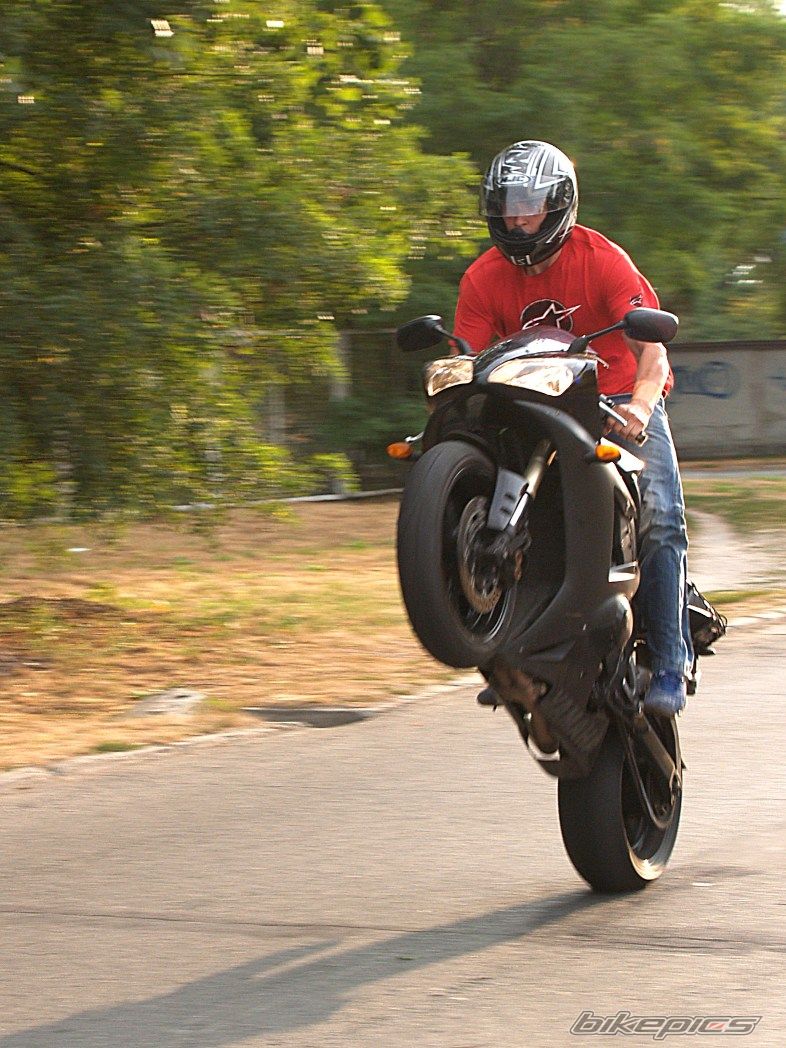 2003 YAMAHA YZF R1 | Picture 645960 motorcycle photo