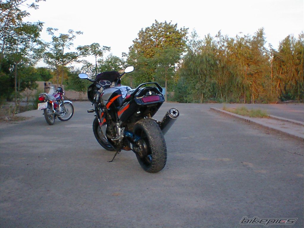 1996 SUZUKI GSX R 1100 | Picture 646647 motorcycle photo