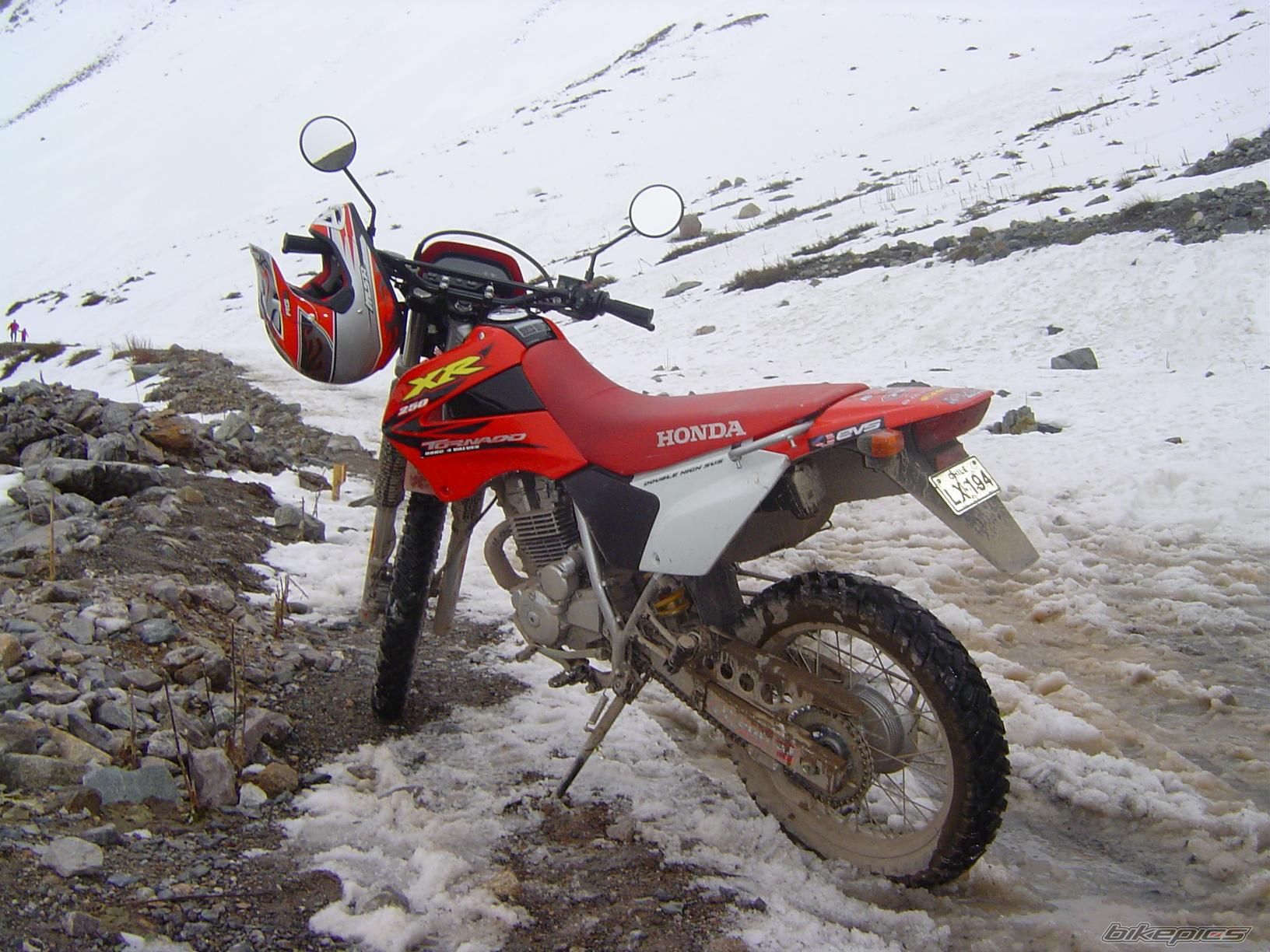 2005 HONDA XR 250 | Picture 646878 motorcycle photo