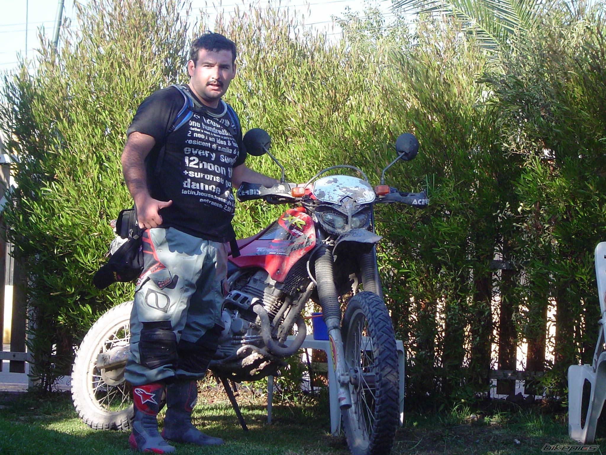 2005 HONDA XR 250 | Picture 646886 motorcycle photo