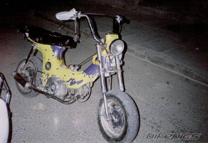 2003 HONDA CHALY | Picture 64693 motorcycle photo