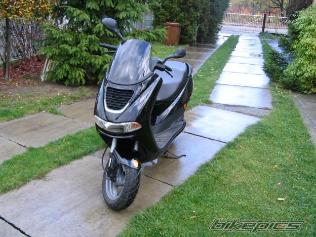 2001 PEUGEOT ELYSEO 50 | Picture 647199 motorcycle photo