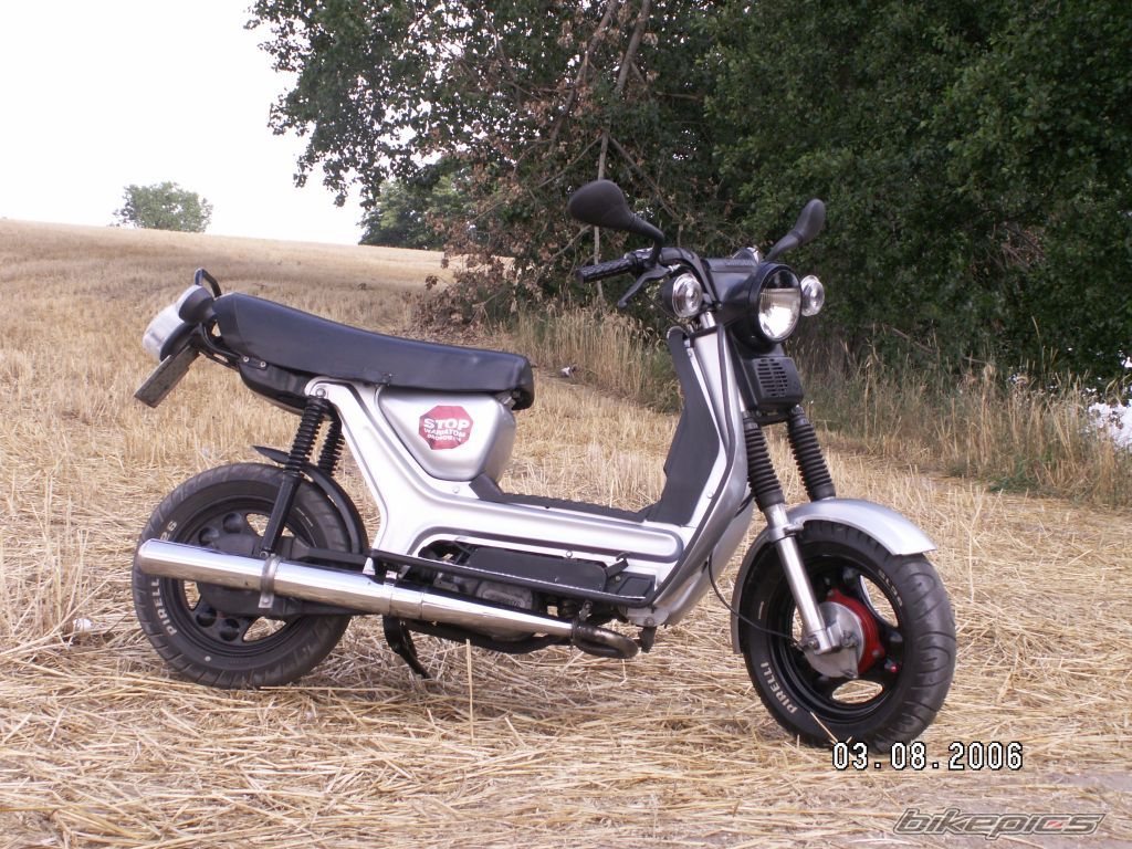 1987 SIMSON SR 50 | Picture 647631 motorcycle photo