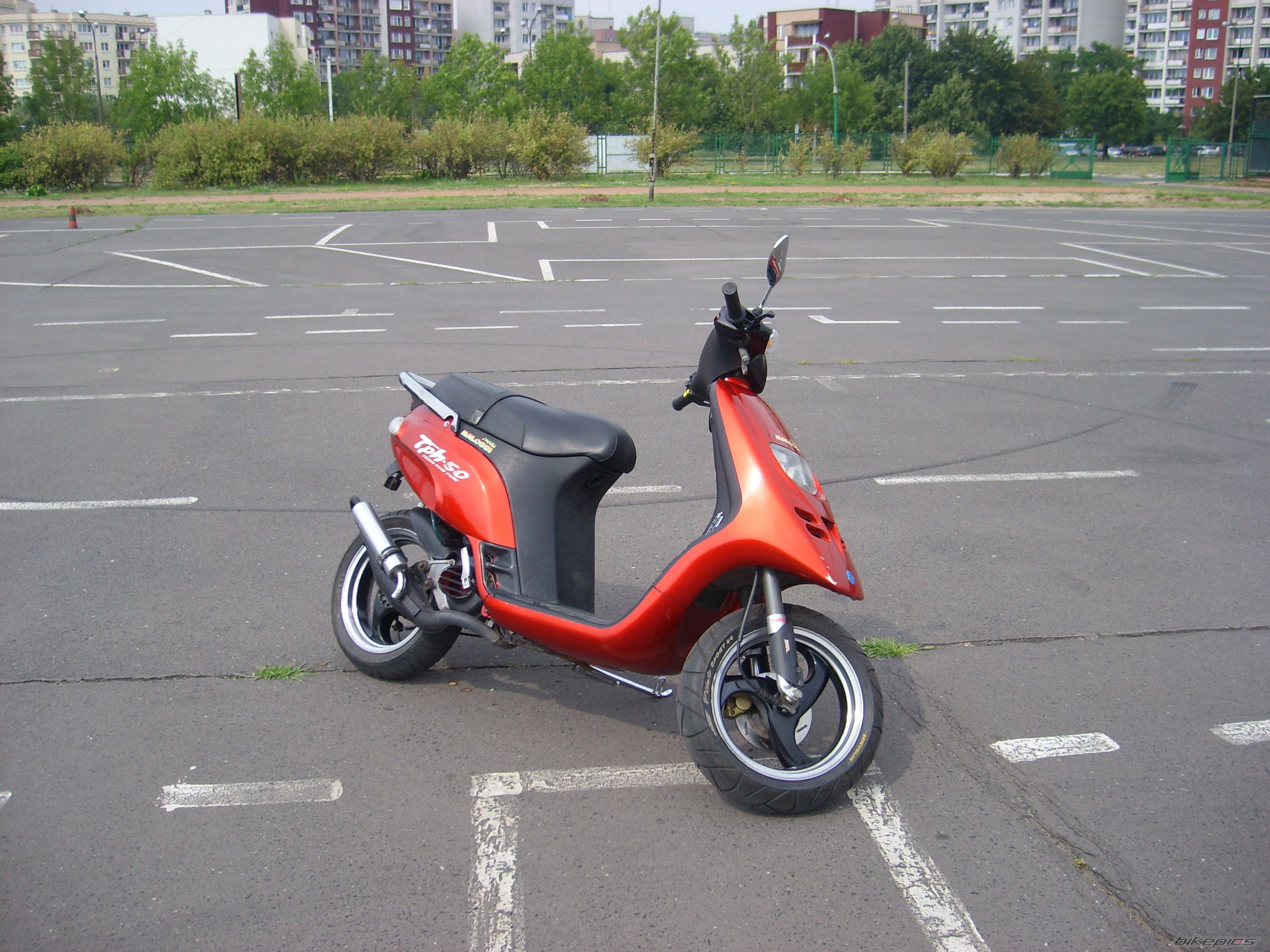 1997 PIAGGIO TPH 50 | Picture 648087 motorcycle photo