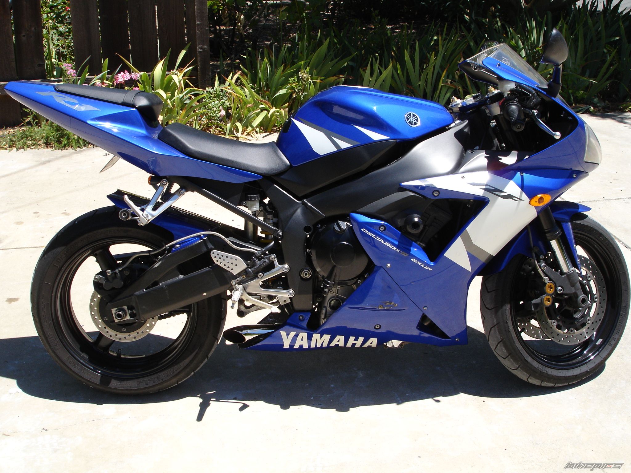 2002 YAMAHA YZF R1 | Picture 648137 motorcycle photo