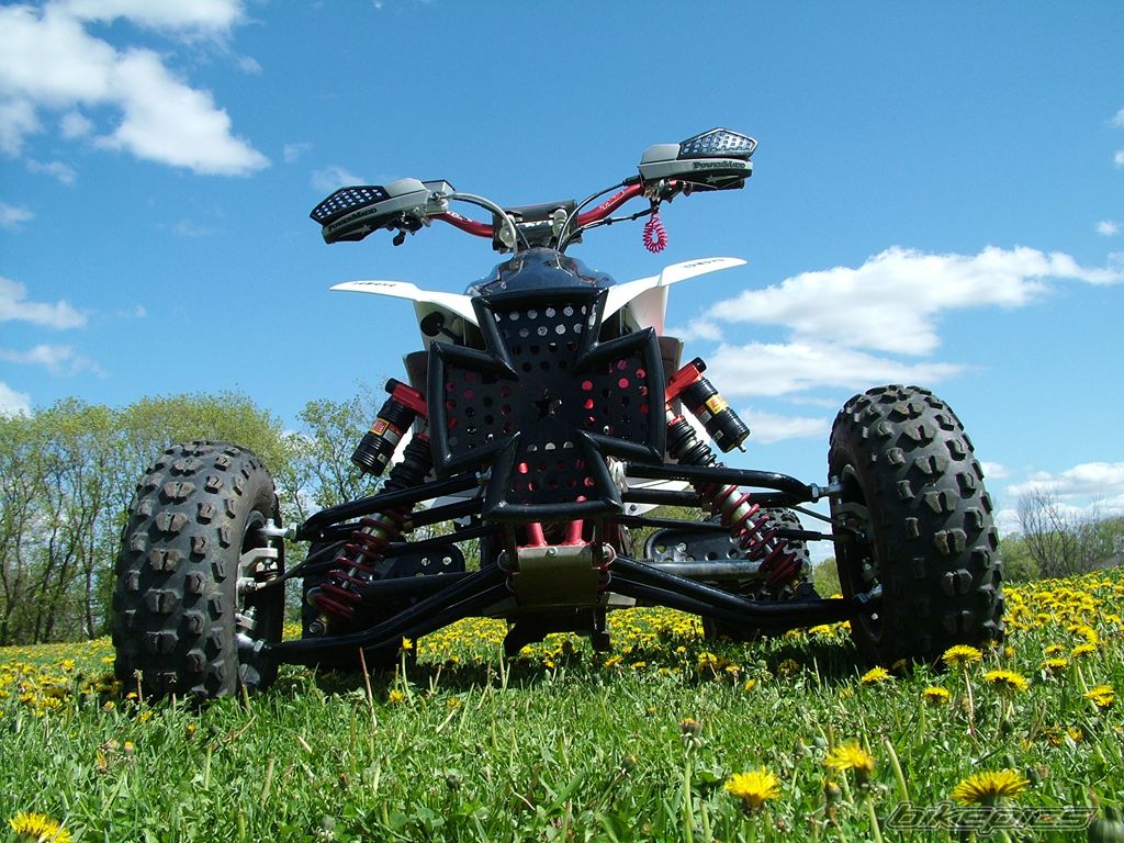 2004 YAMAHA RAPTOR YFZ 450 | Picture 648161 motorcycle photo