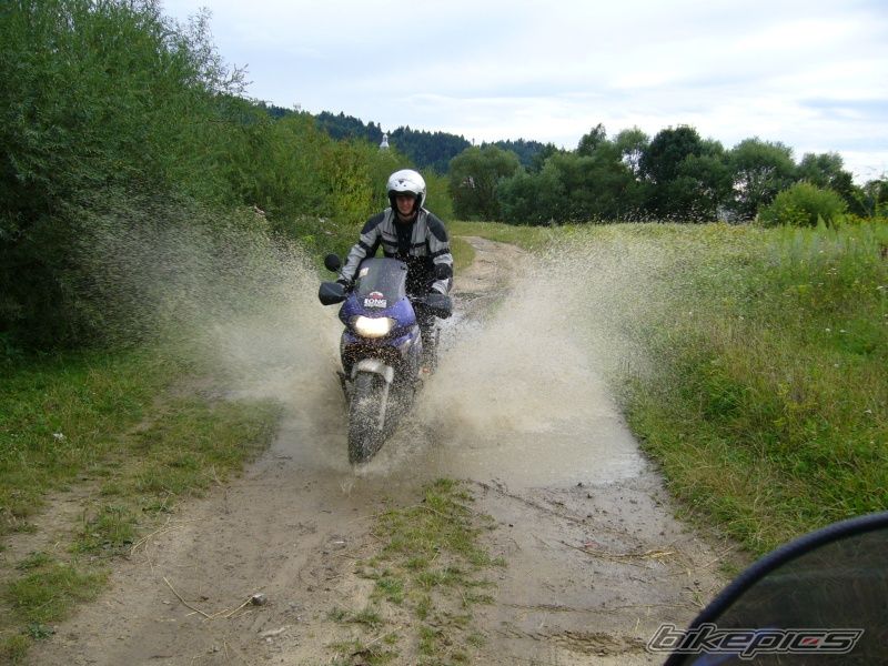2005 HONDA XL 650V TRANSALP | Picture 648505 motorcycle photo