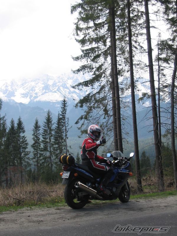 2004 SUZUKI GSX 750F | Picture 648904 motorcycle photo