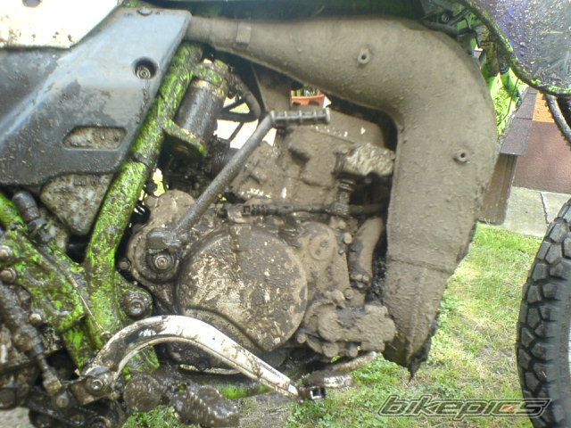 1999 KAWASAKI KMX 125 | Picture 649226 motorcycle photo