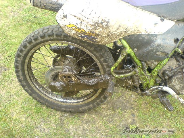1999 KAWASAKI KMX 125 | Picture 649229 motorcycle photo