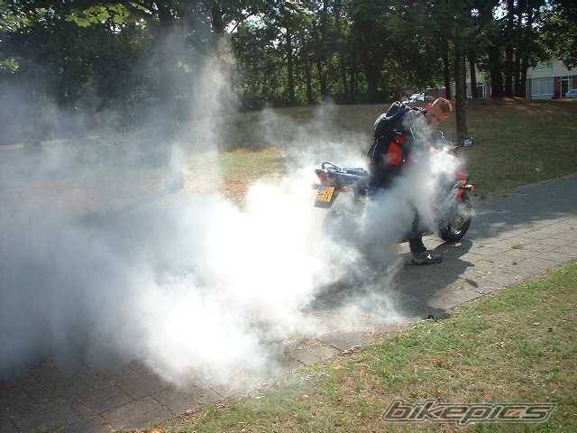 1999 HONDA CBR 600 | Picture 64935 motorcycle photo