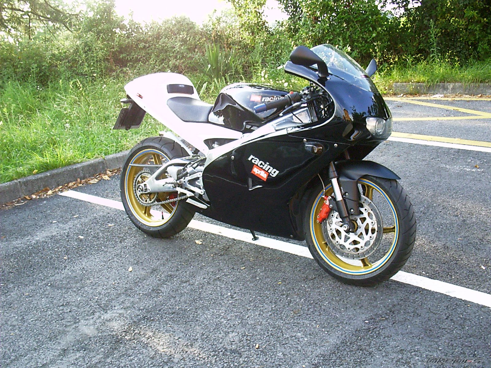2003 APRILIA RS 125 | Picture 650027 motorcycle photo