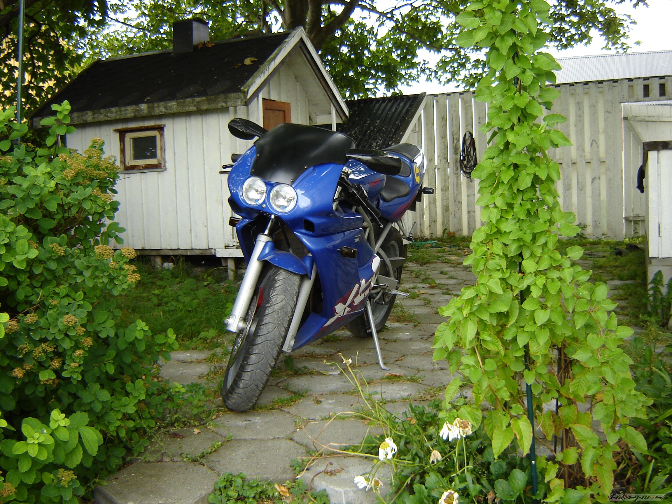 2001 SACHS XTC RACING | Picture 650077 motorcycle photo