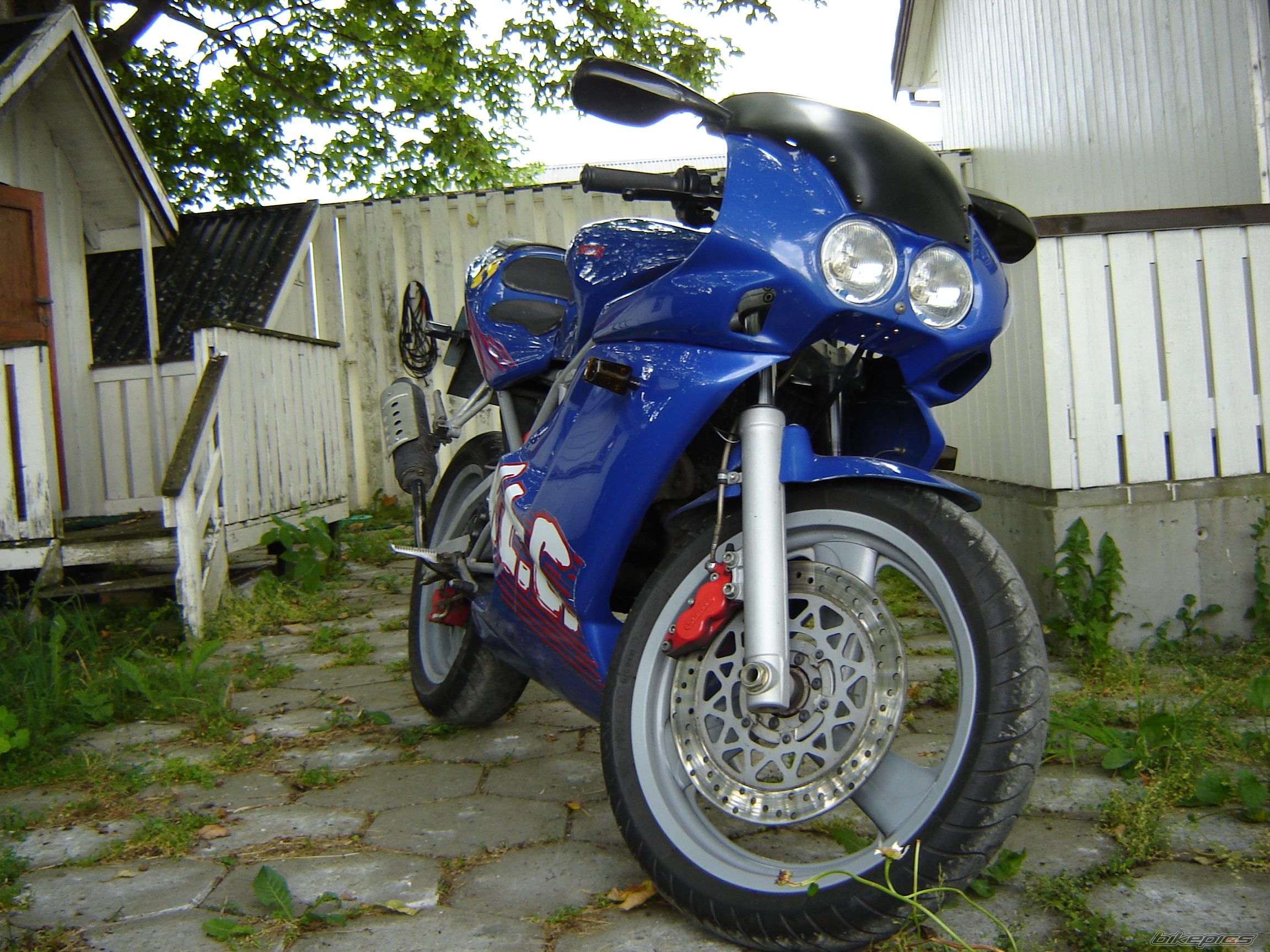 2001 SACHS XTC RACING | Picture 650081 motorcycle photo