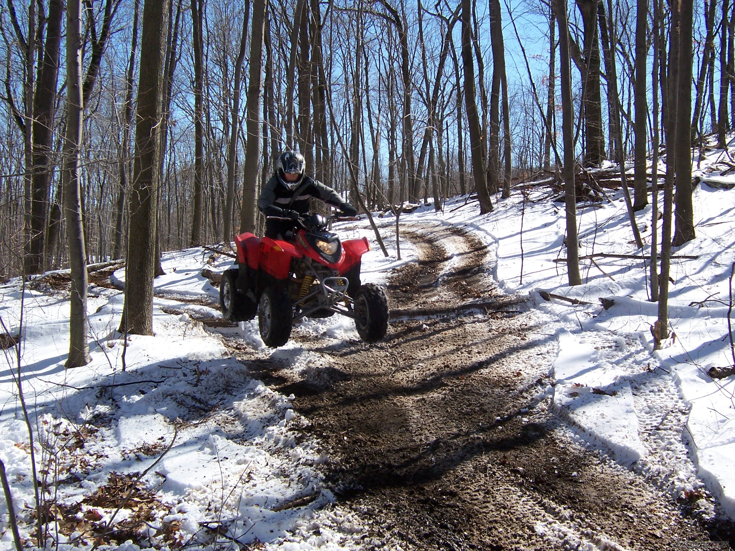 2005 POLARIS POLARIS 200 | Picture 650726 motorcycle photo