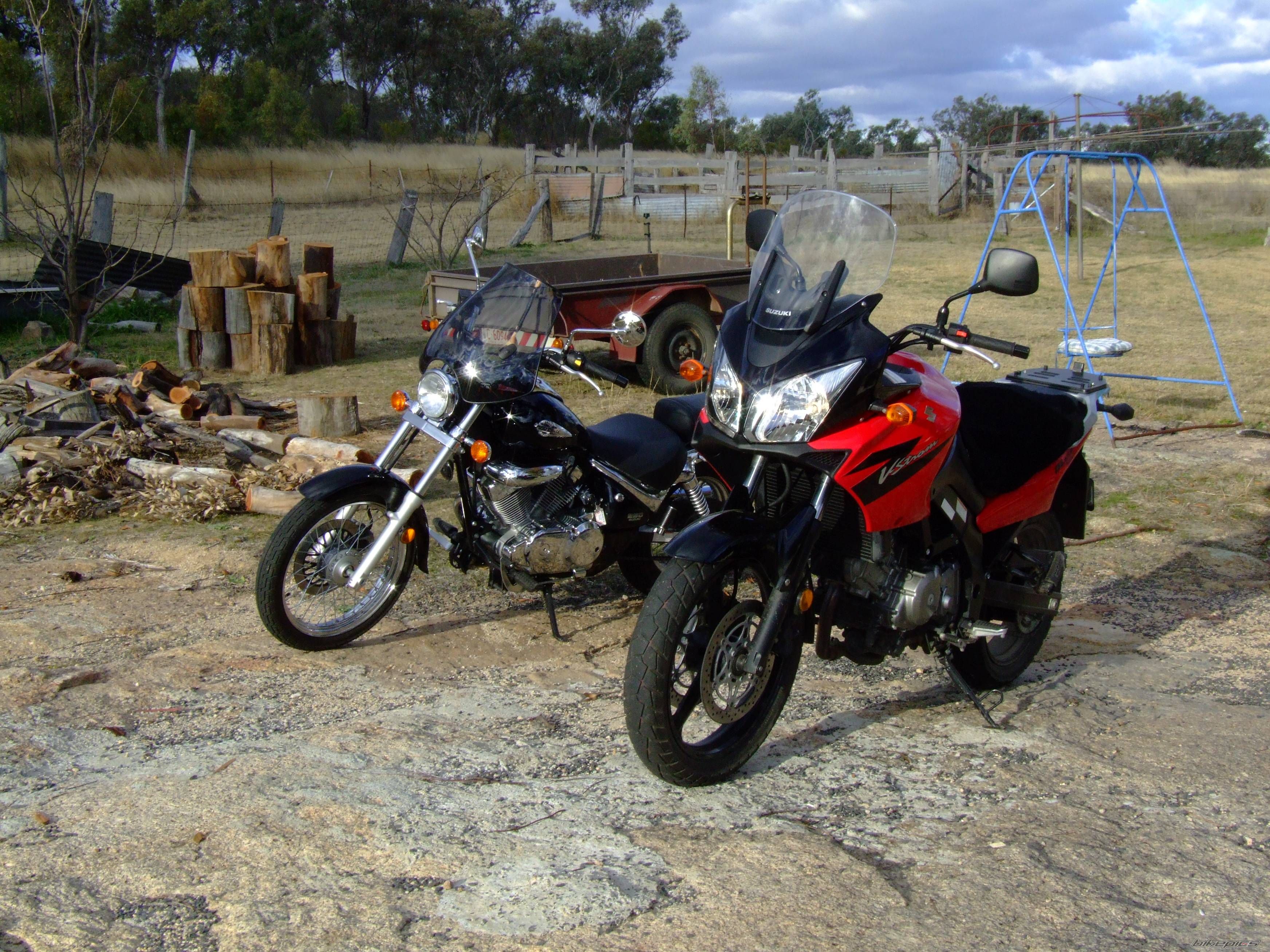 2005 SUZUKI DL 650 | Picture 650932 motorcycle photo